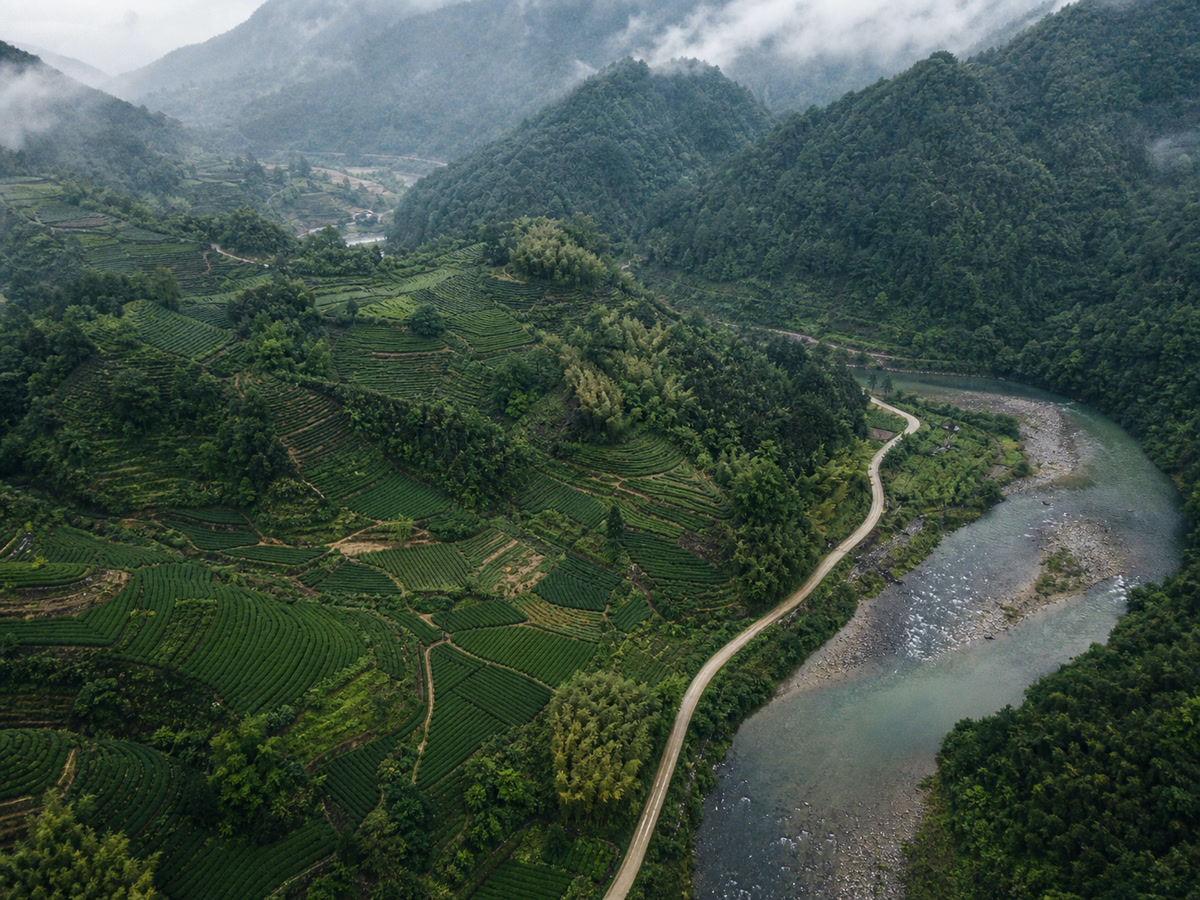 Topographic survey of the Fujian tea origins